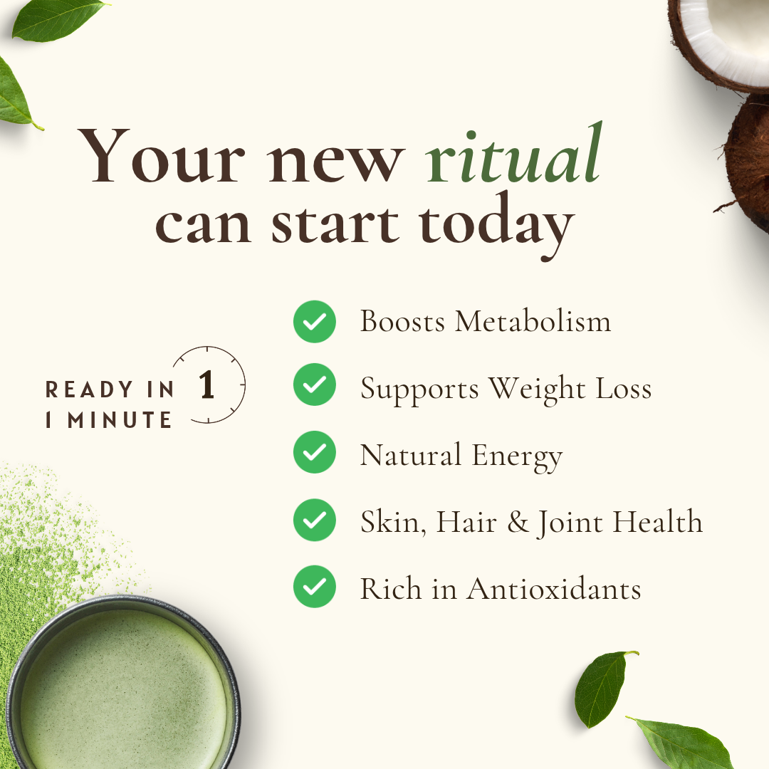 Coconut Weight Management Matcha | No Added Sugar