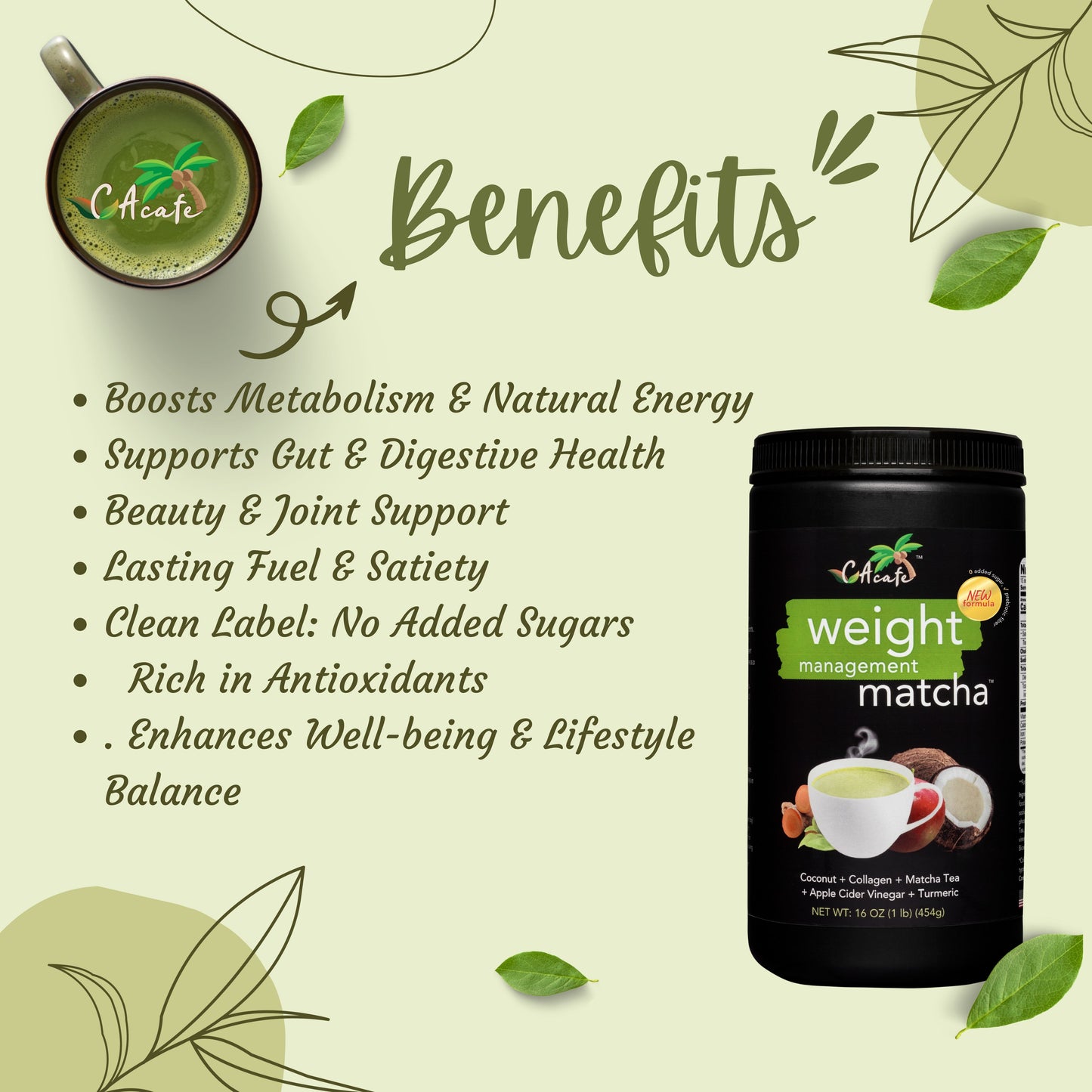 Coconut Weight Management Matcha | No Added Sugar